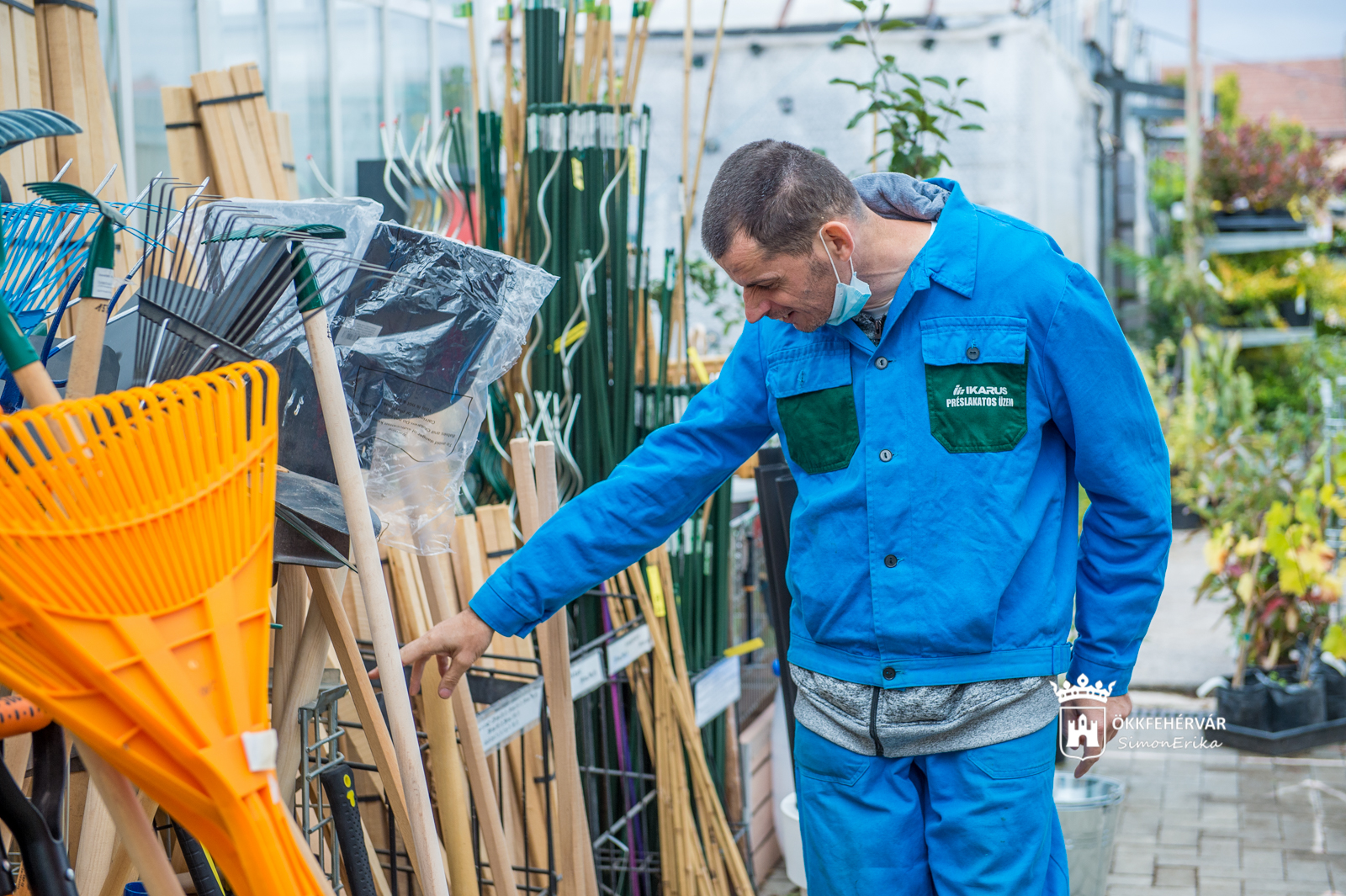 Neked munka, Nekem álom Székesfehérváron