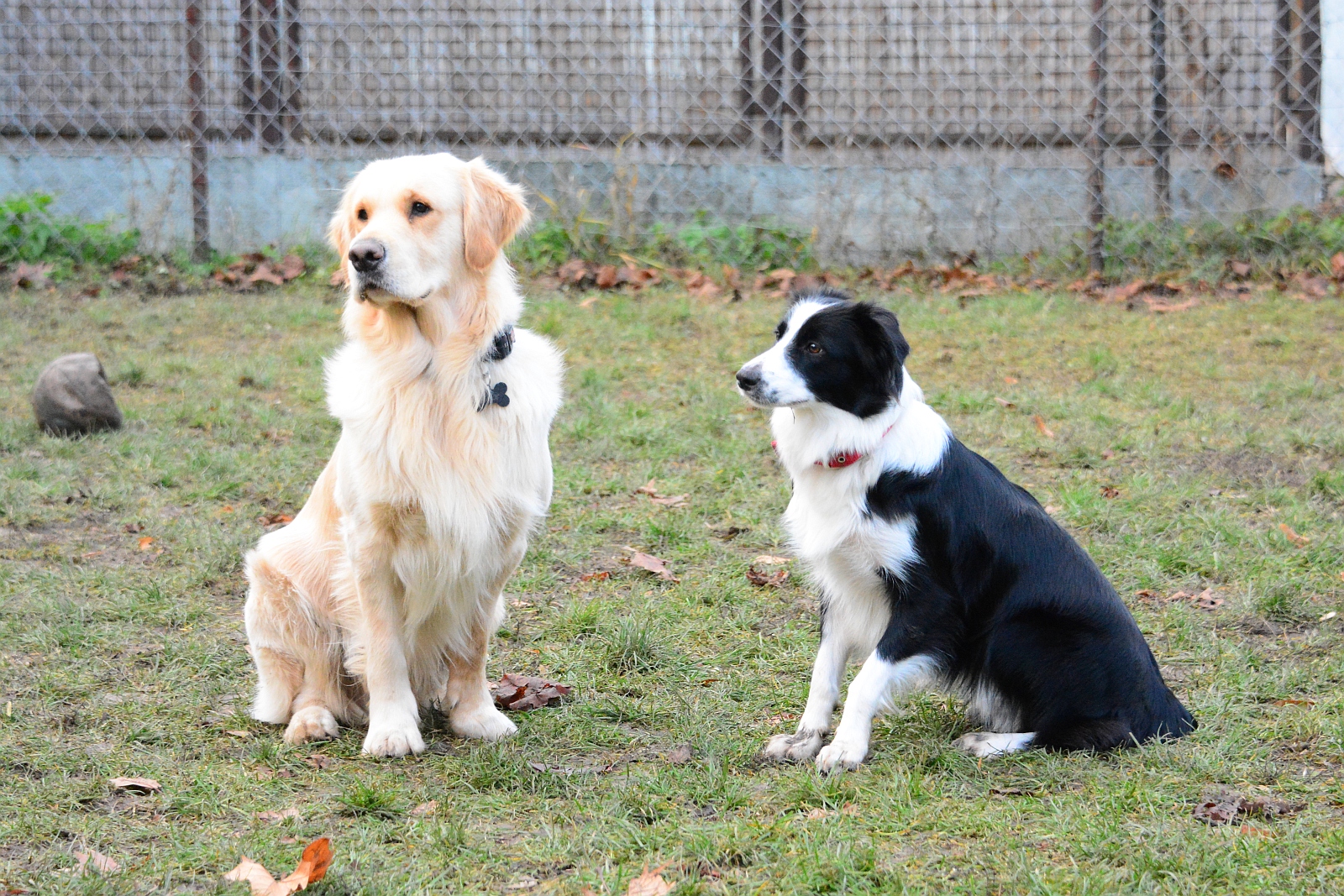 Elkészült az új kutyafuttató az Almássy lakótelepen