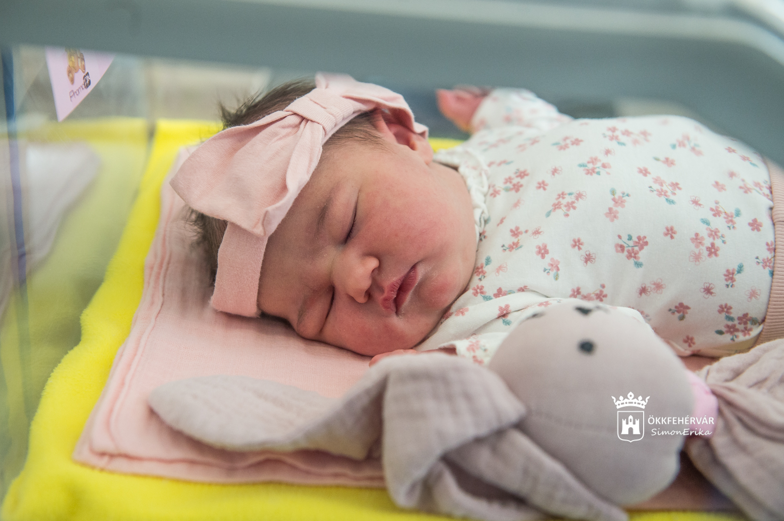 Szepesi Lana az idei első székesfehérvári kisbaba