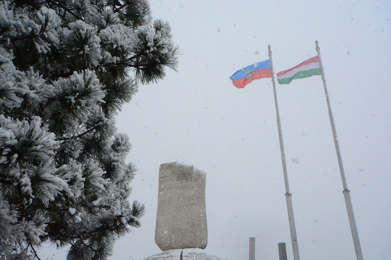 Az idei tél első hóesése Székesfehérváron