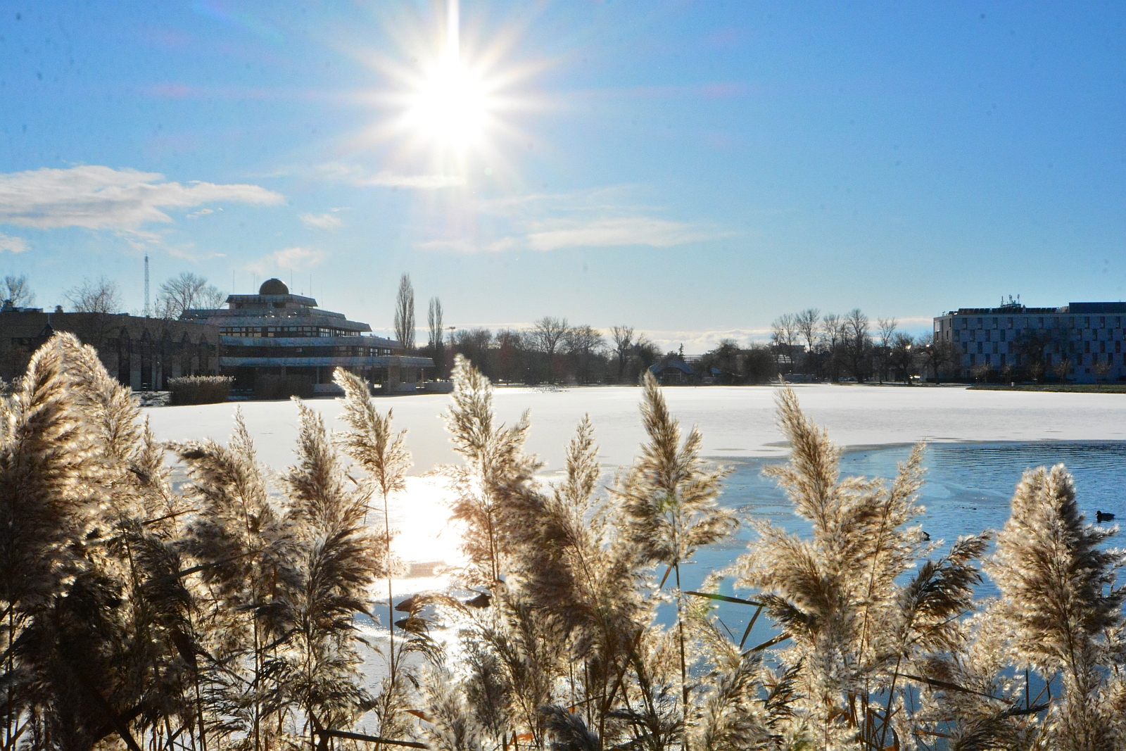 Szikrázó téli napsütésben a Csónakázó tó