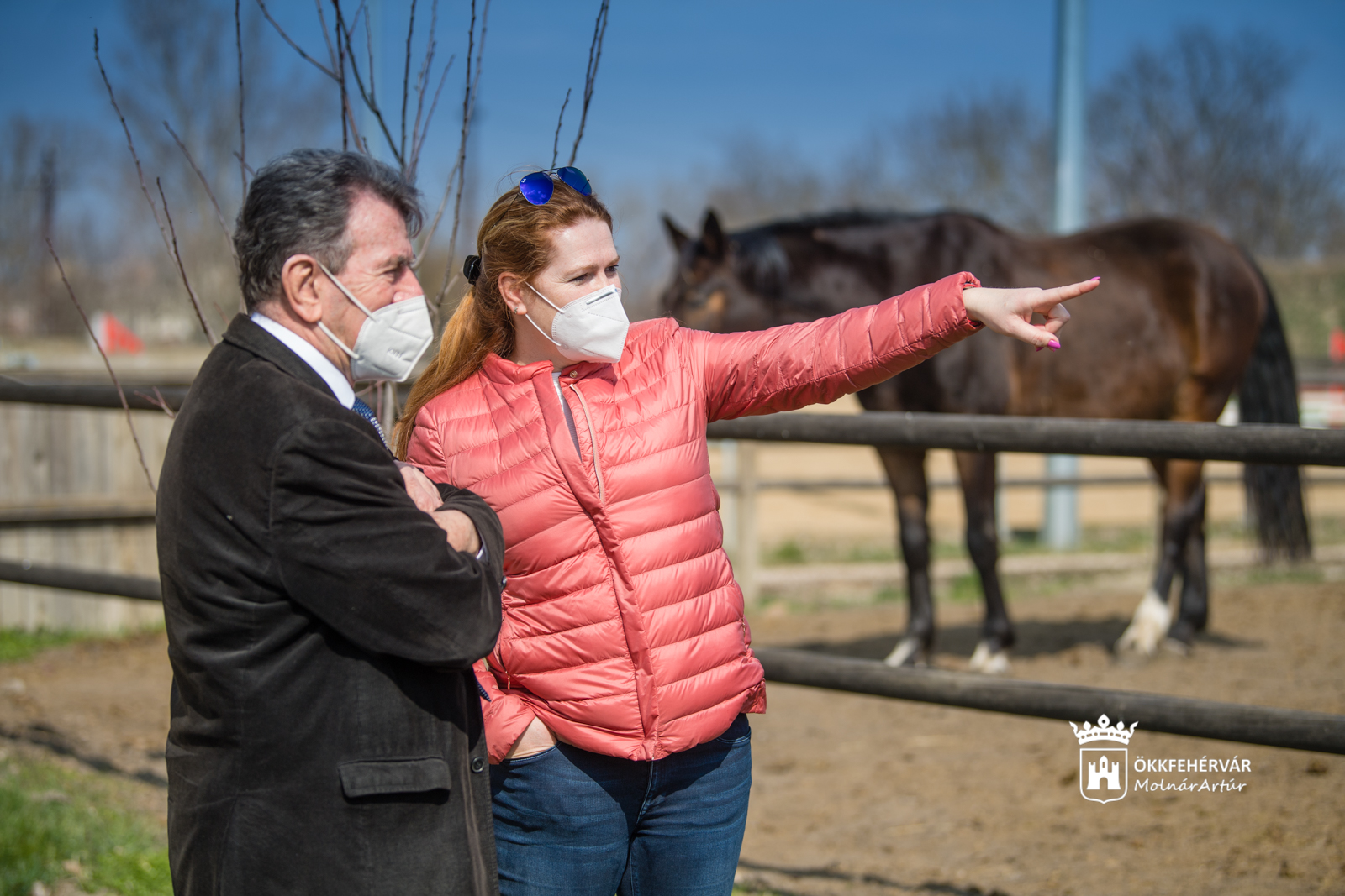 Székesfehérváron lesz a 2021-es öttusa Világkupa- döntője