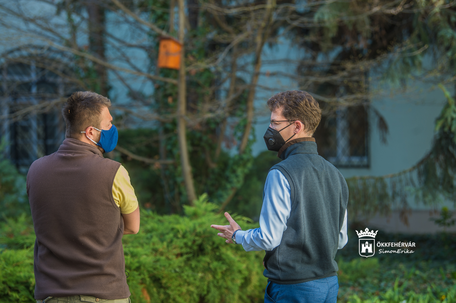 Madárodú a Városháza udvarán