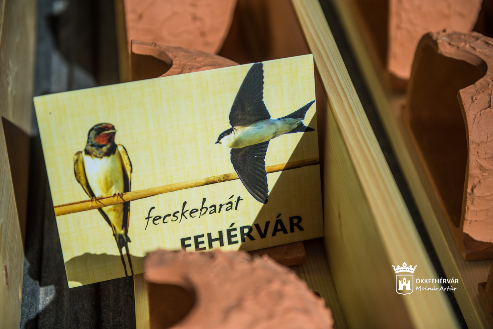 Mű fecskefészkeket telepítettek a Mura utcában