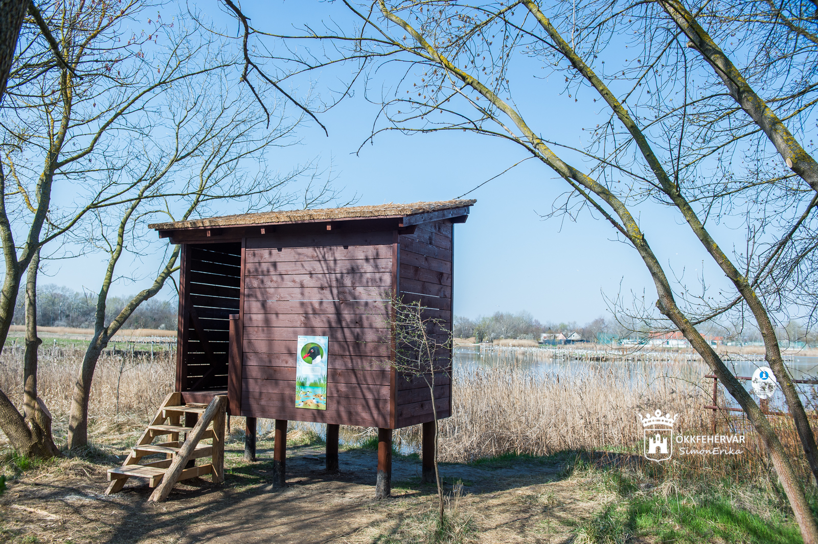 Sirály-lesen a Sóstó Természetvédelmi Területen