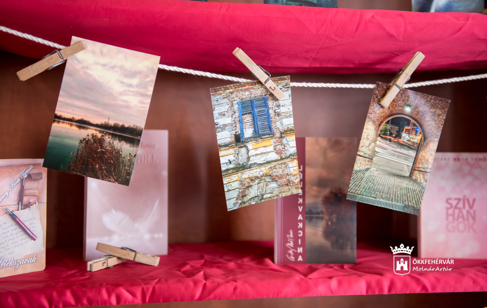 Vitrintárlat nyílt a Fő utcán az Ofotért mellett