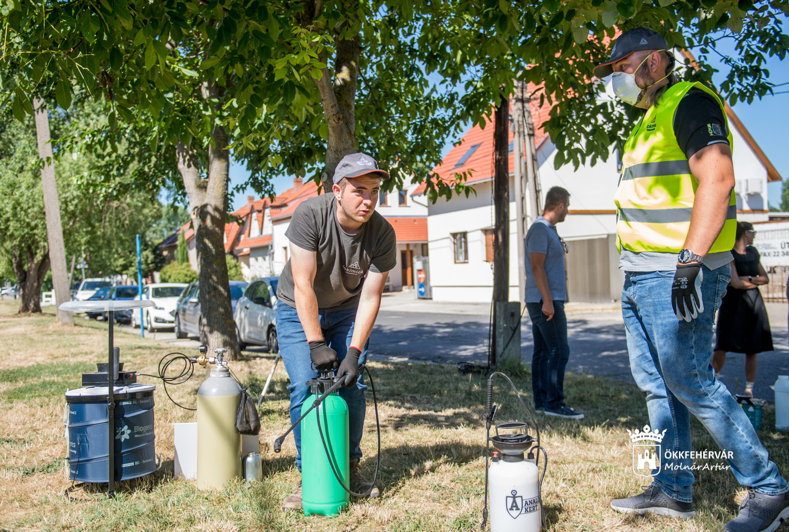 Próba bio-szúnyogirtást végeztek az Erzsébet úti kanálison