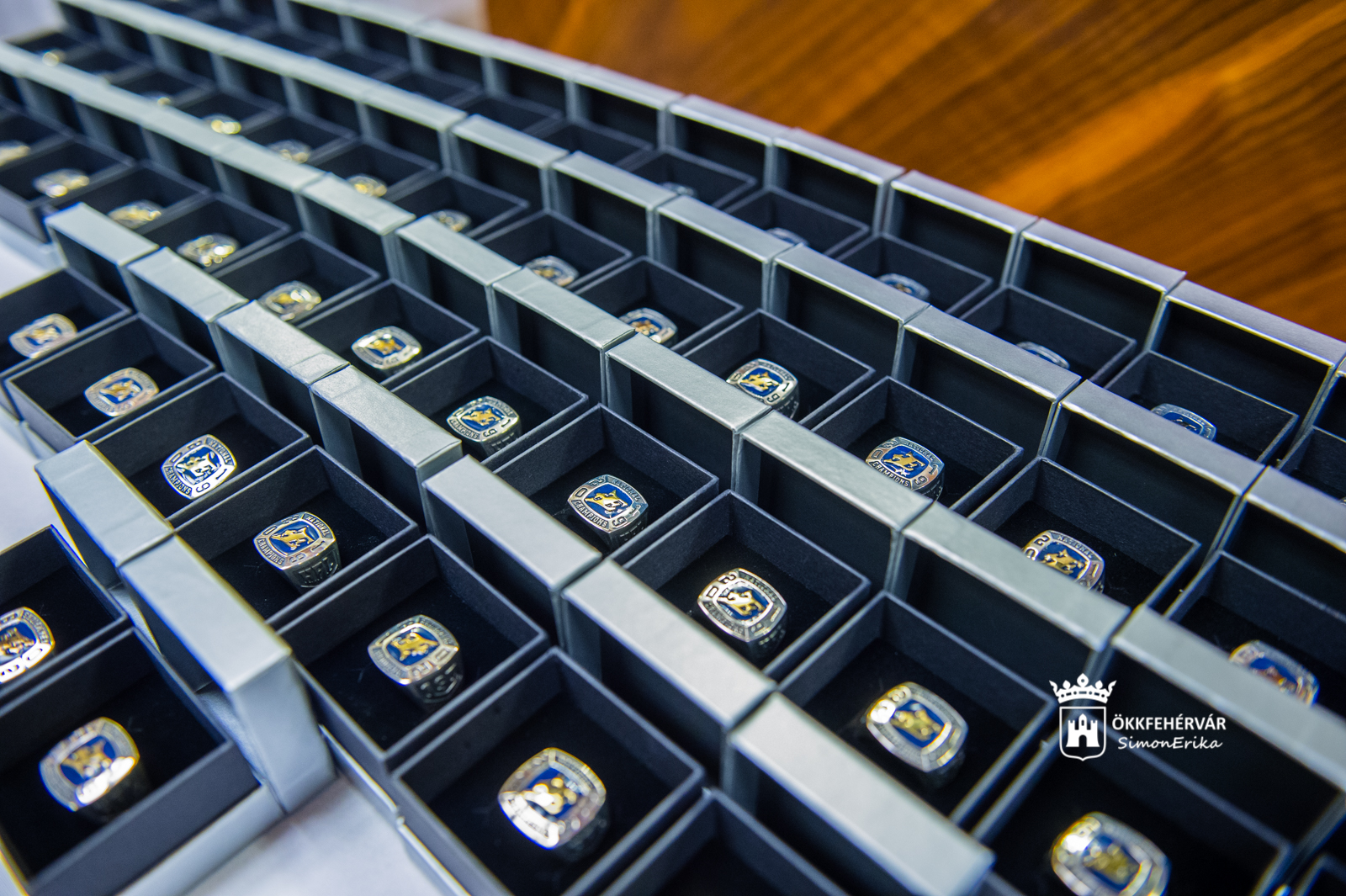 Bajnoki emlékgyűrű a Fehérvár Enthroners 2019-es keretének