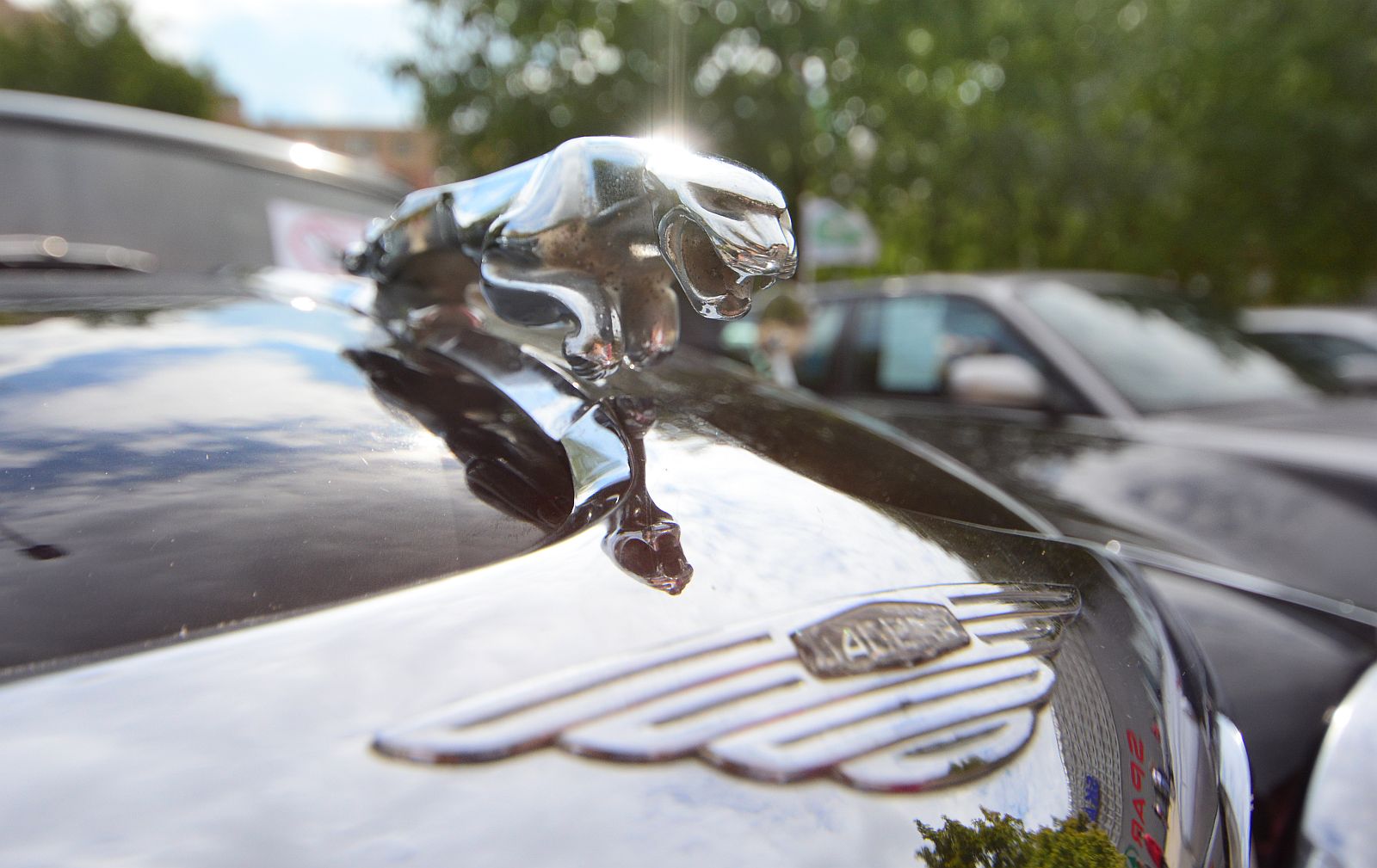 Ilyen volt a Jaguár találkozó Székesfehérváron