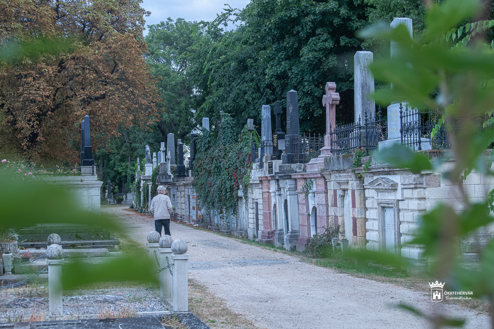 Történelem a temetőben - őszi séta a Hosszútemetőben