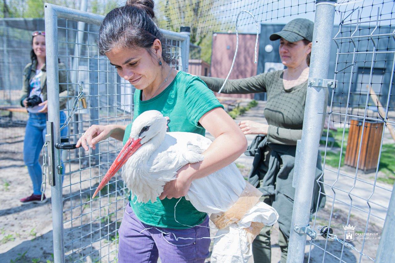 Új lakók érkeztek a Sóstó Vadvédelmi Központba