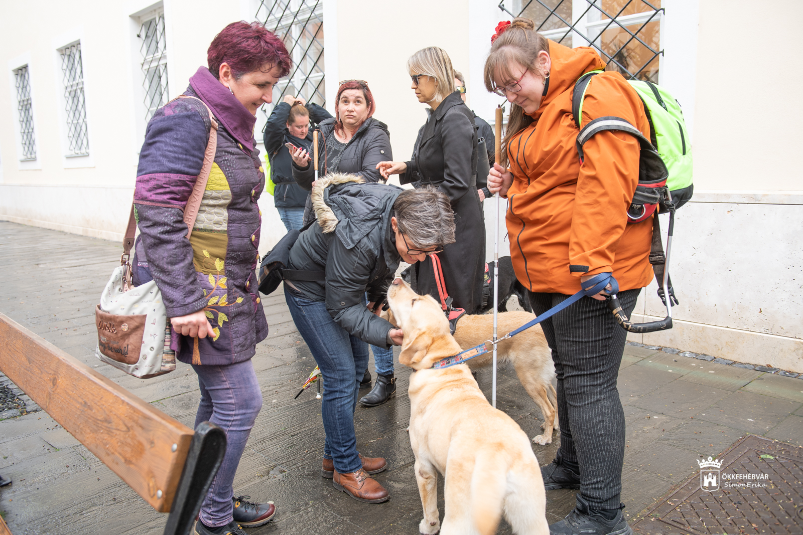 Belvárosi séta a vakvezető kutyák világnapján