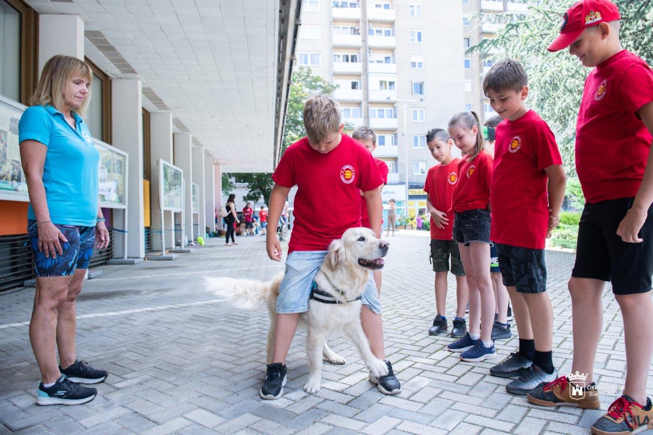 Önkéntesek Hete a Civil Központban