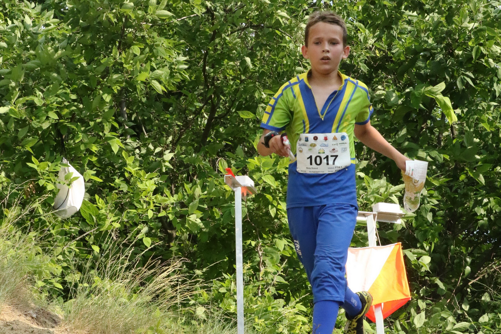 ARAK tájfutó atlétáksikerei