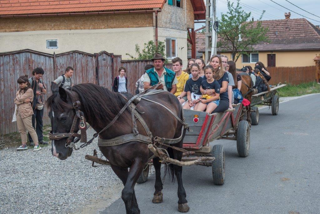 Értékmentés a Székelyföldi Verstáborban