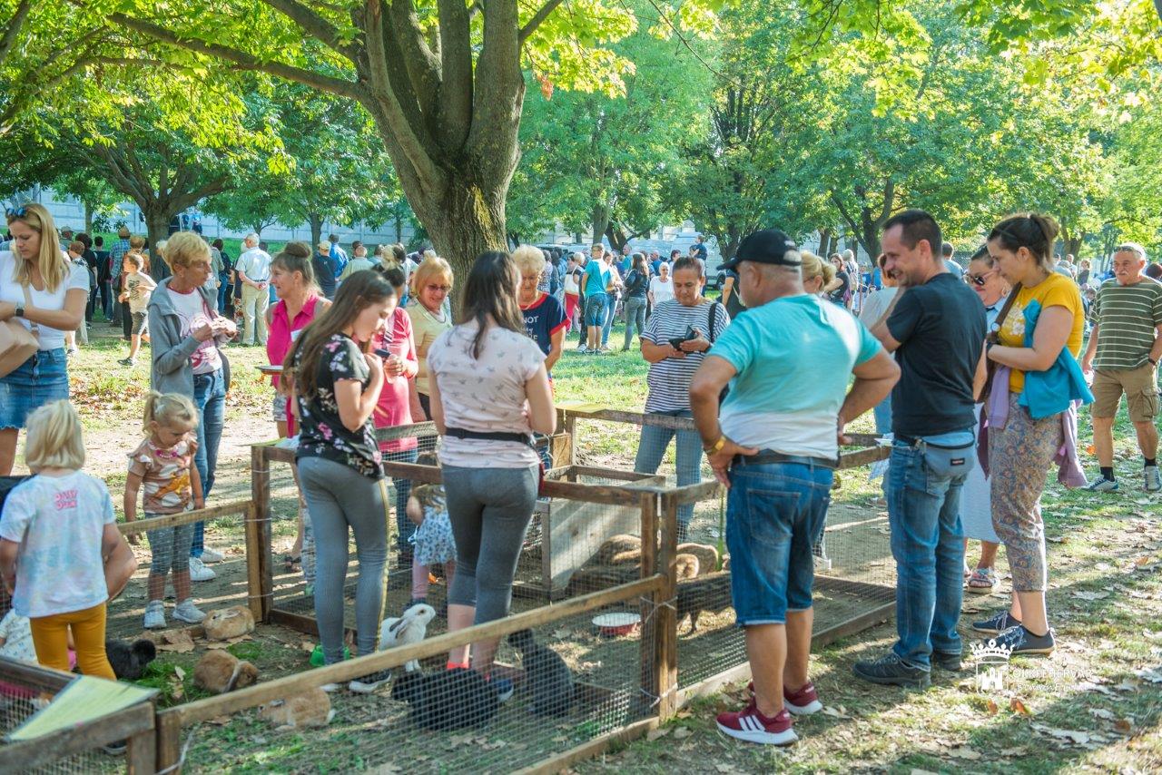 Képeken a Tóvárosi őszköszöntő