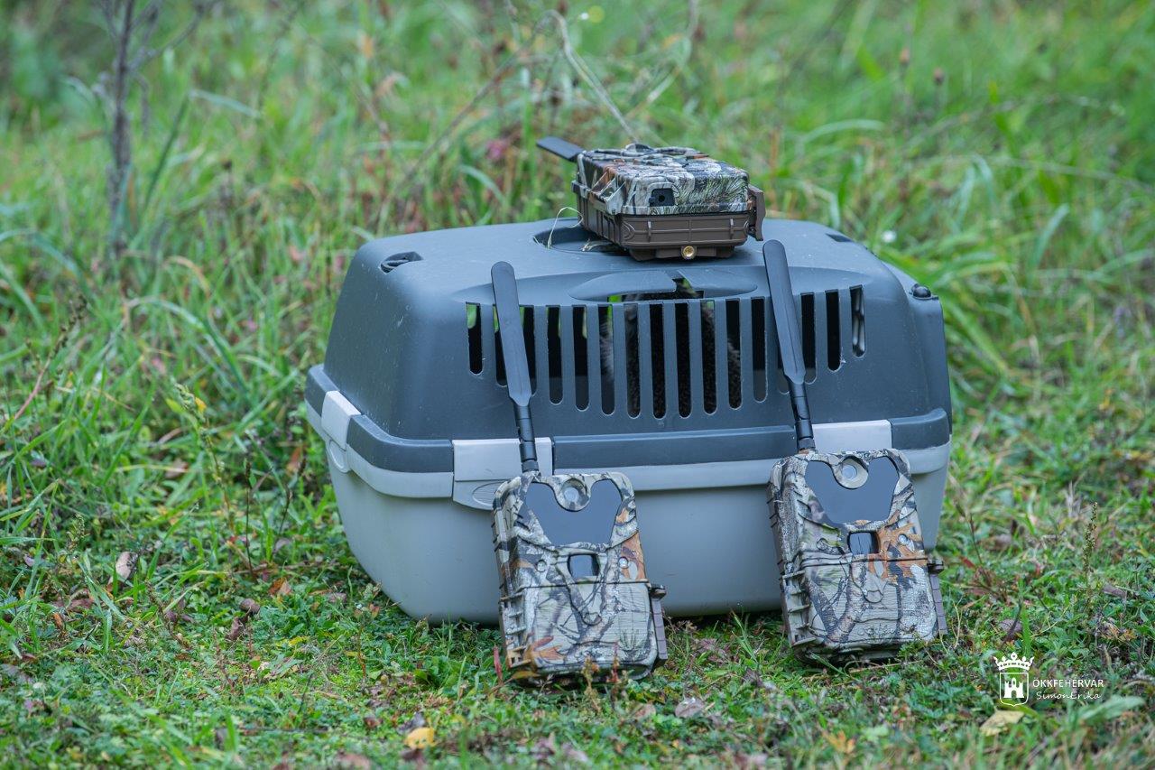 Mobil kamerákat szerelnek fel a fehérvári erdőkben, erdőszéleken