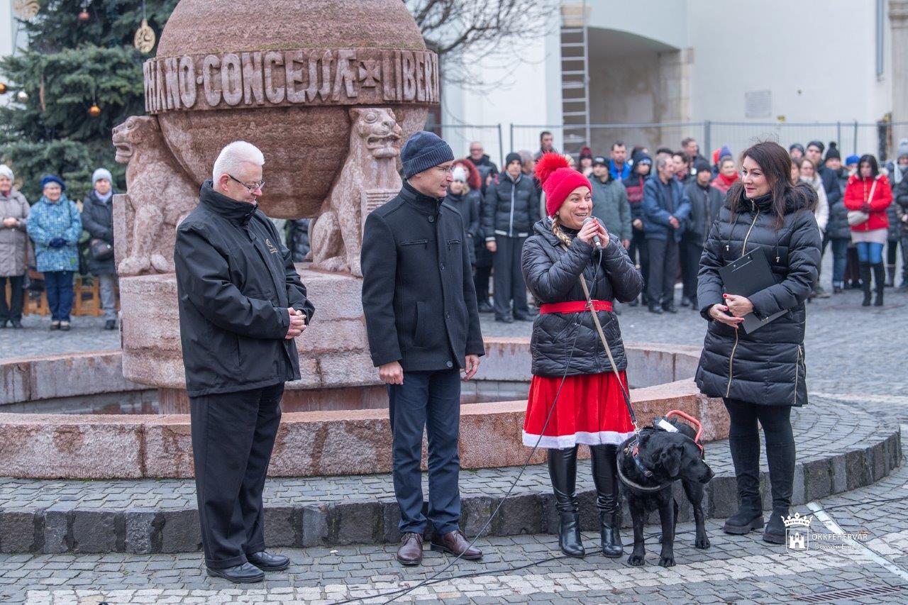 Körülölelték az Országalmát a Fogyatékos Emberek Világnapján