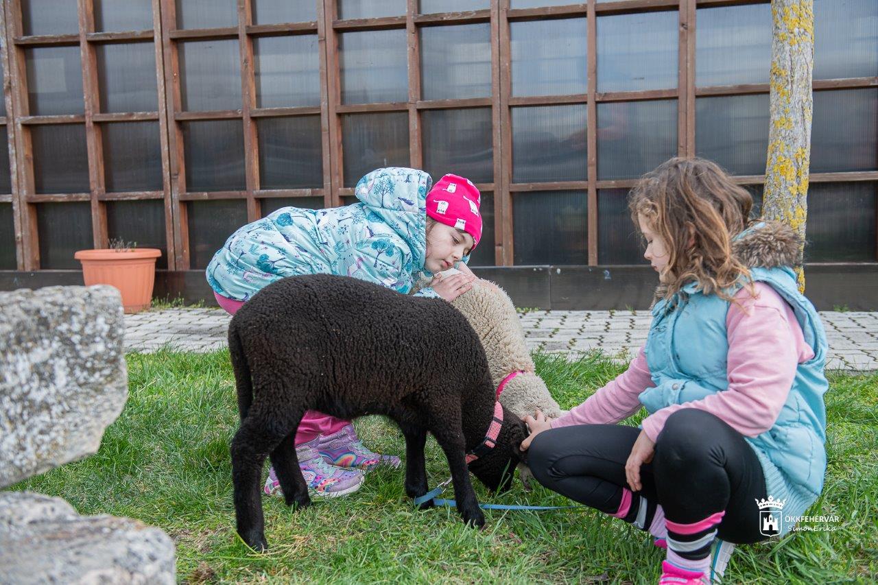 Húsvétváró családi délután a Feketehegy-Szárazréti Kultúrudvarban