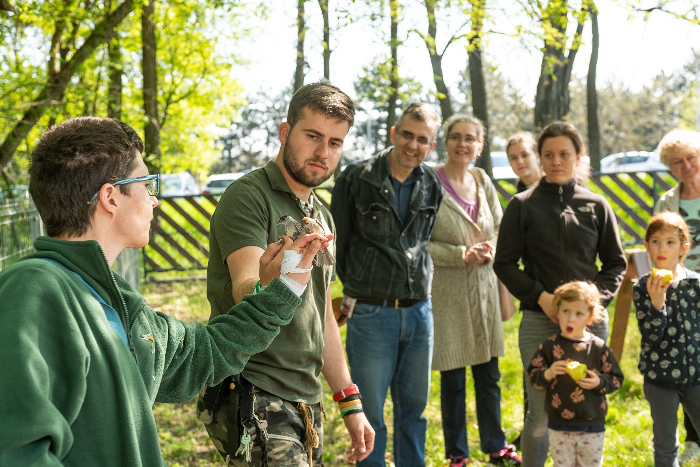 Így telt az egyéves születésnapja a Sóstó Vadvédelmi Központnak