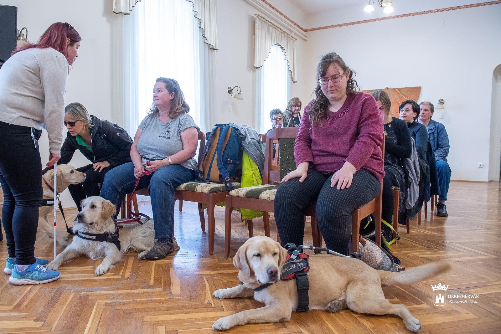 A vakvezető kutyák világnapja Fehérváron