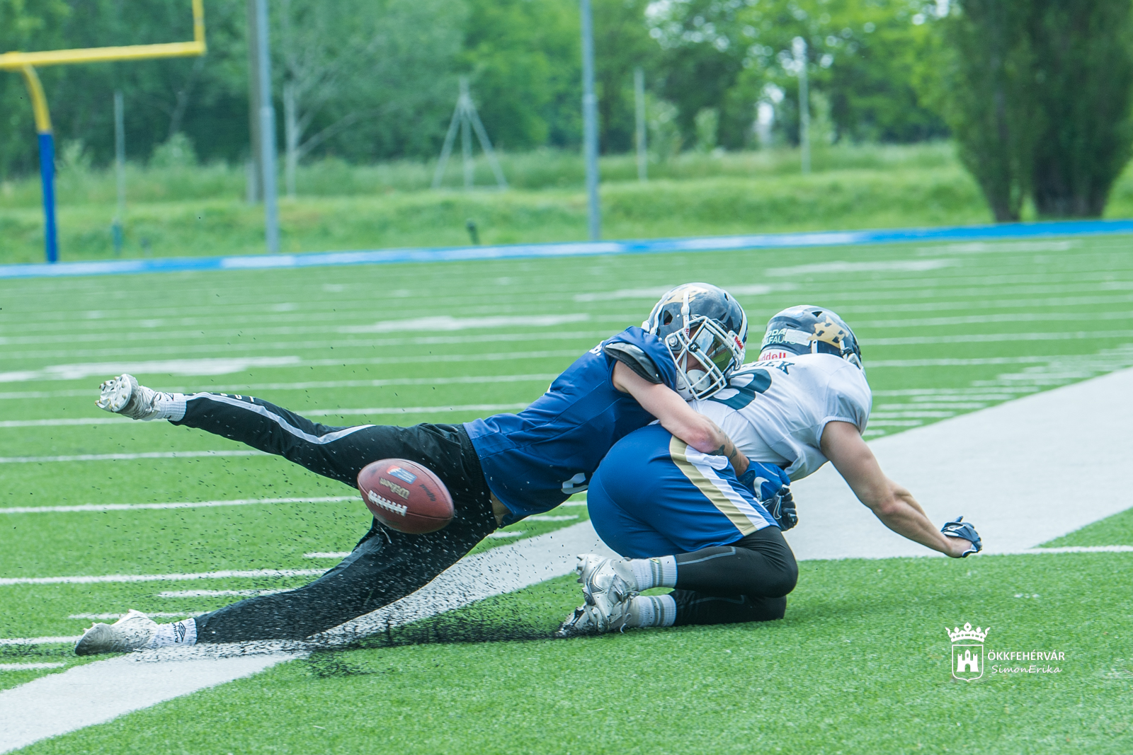 Nyílt edzés a Fehérvár Enthronersnél, nemzetközi megmérettetésre készül a csapat