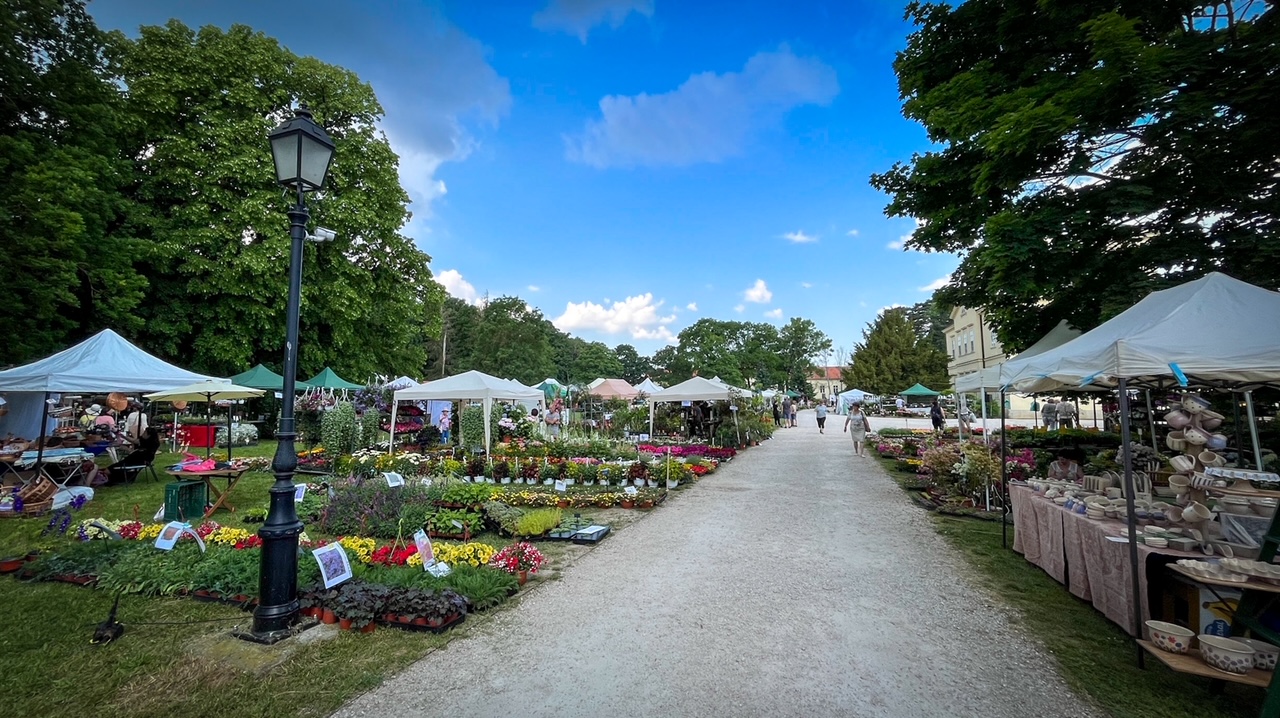 Megnyitott a Dísznövény és Kertművészeti Napok a Károlyi kastélyban