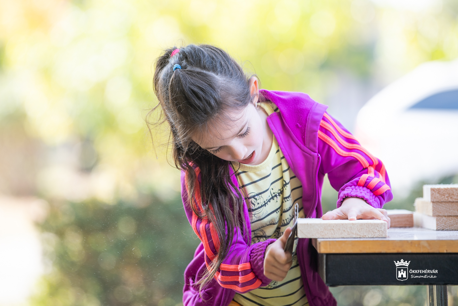 Közösségi madárodú-készítés a Gárdonyiban