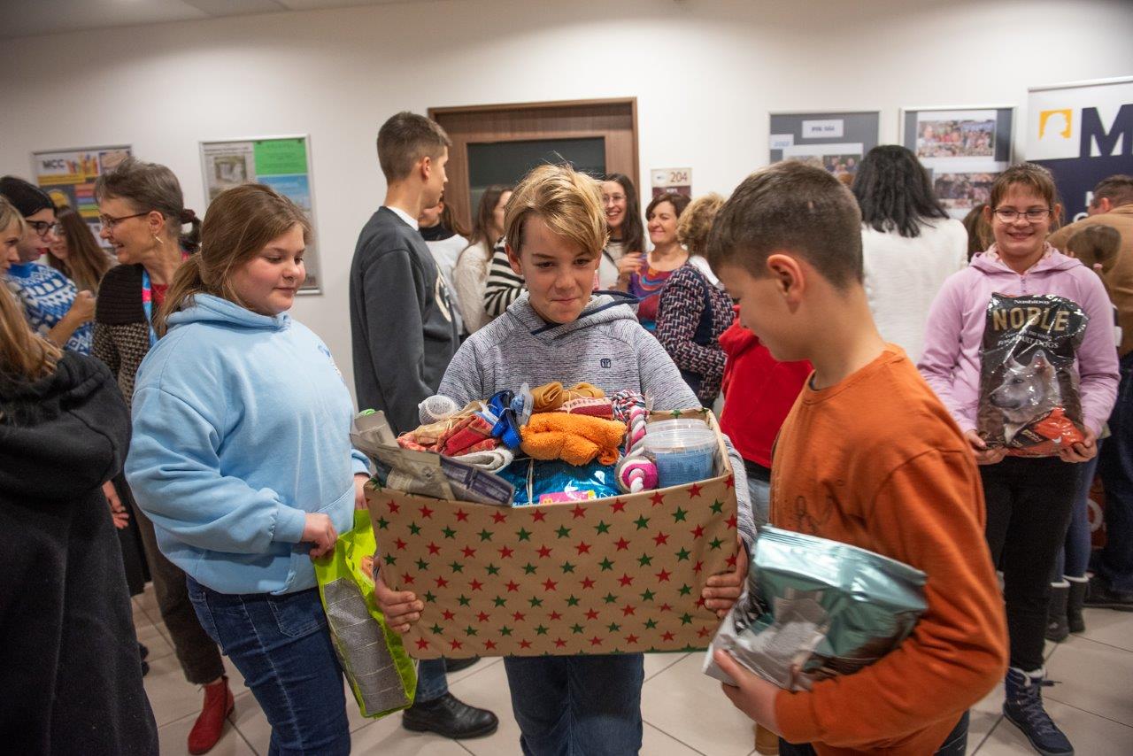 MCC-s diákok támogatták az ASKA Állatmenhelyet