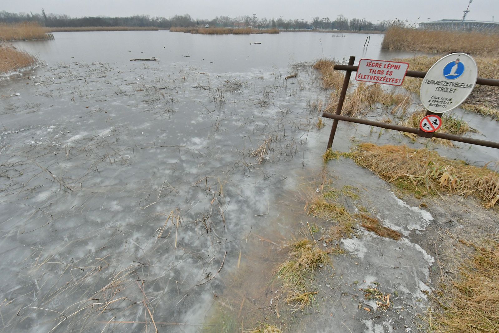 Befagytak a város tavai, de TILOS és veszélyes a jégre lépni