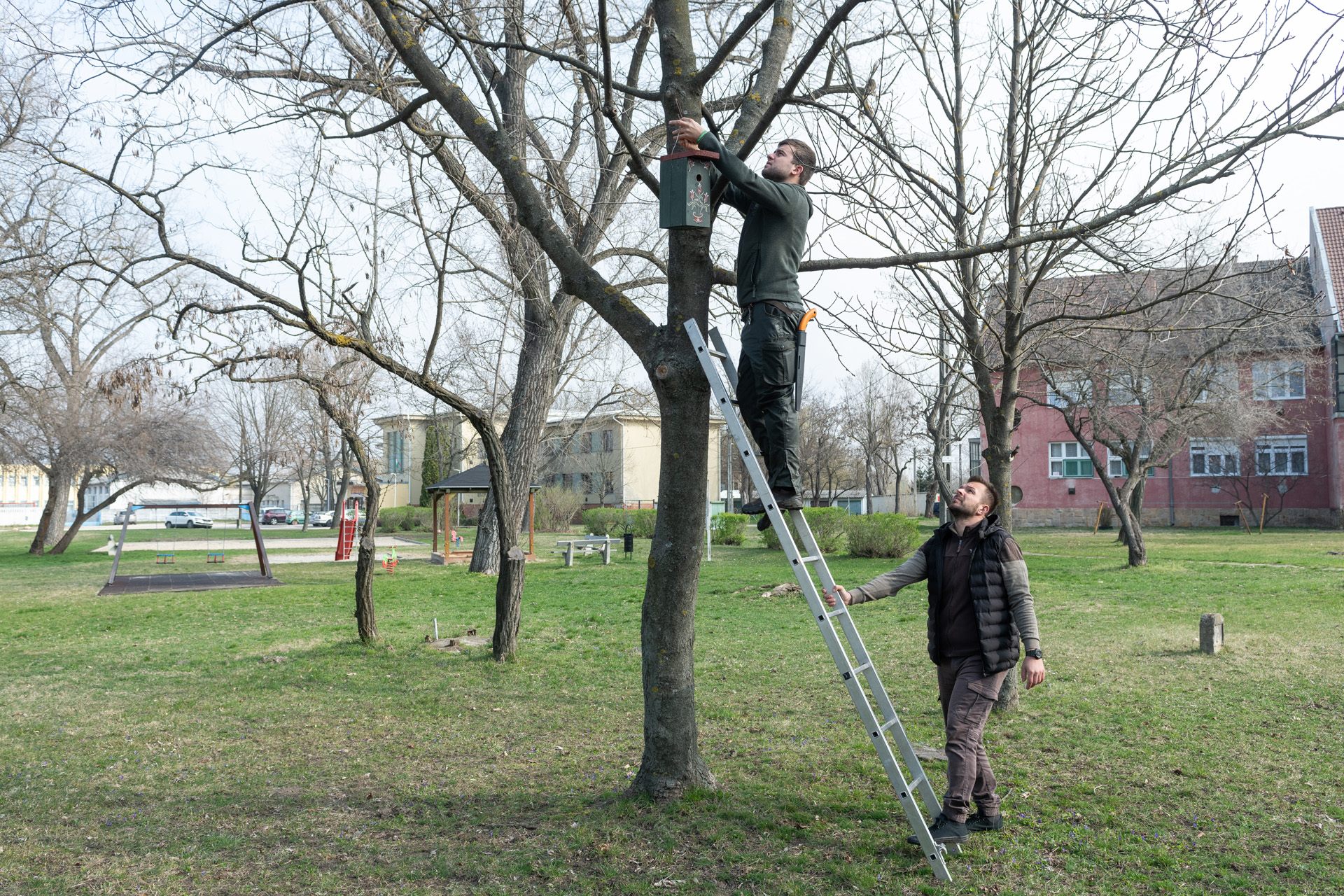 Madárbarát Székesfehérvár – elkezdődött az odúk kihelyezése