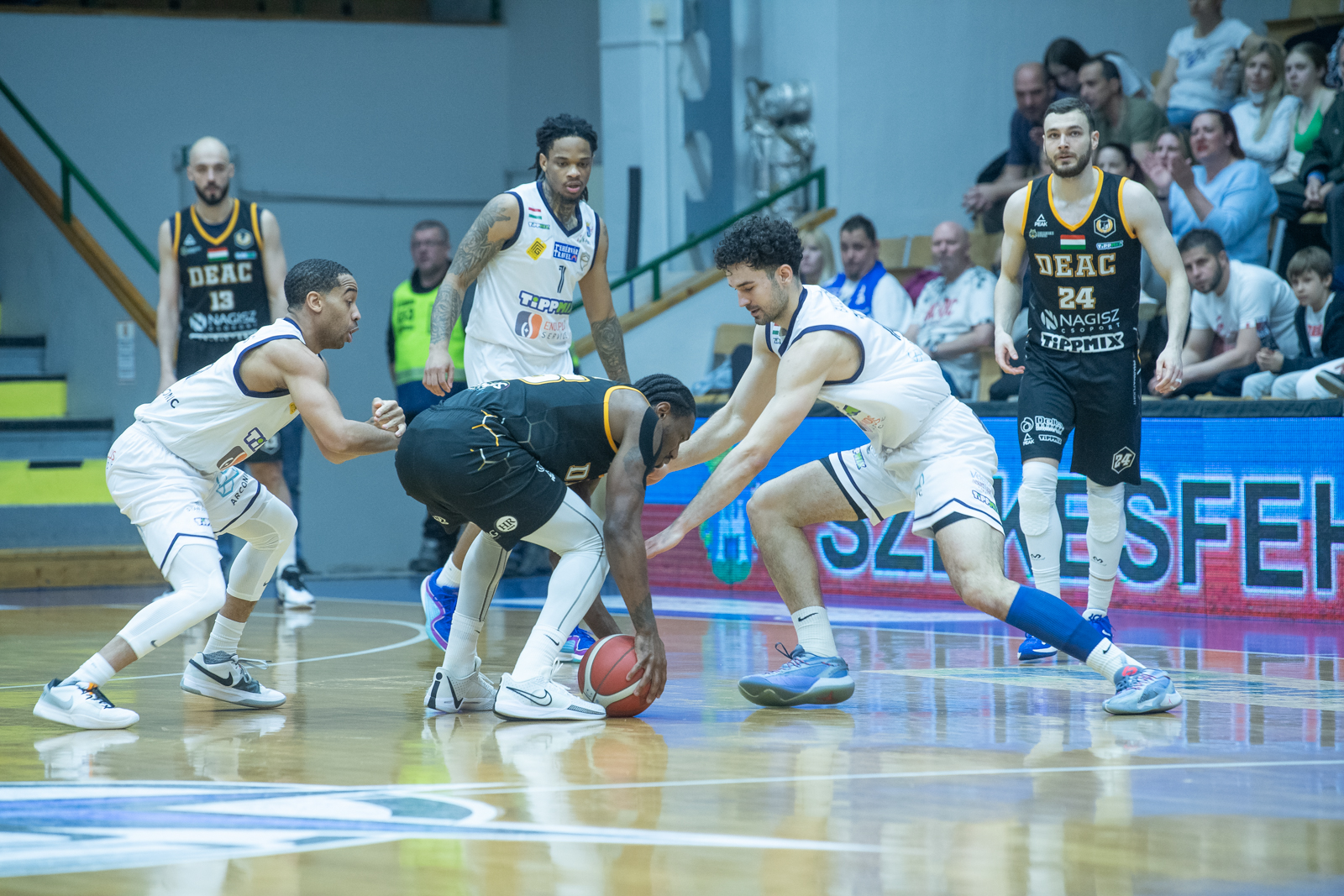 Arconic-Alba Fehérvár - DEAC 101-81