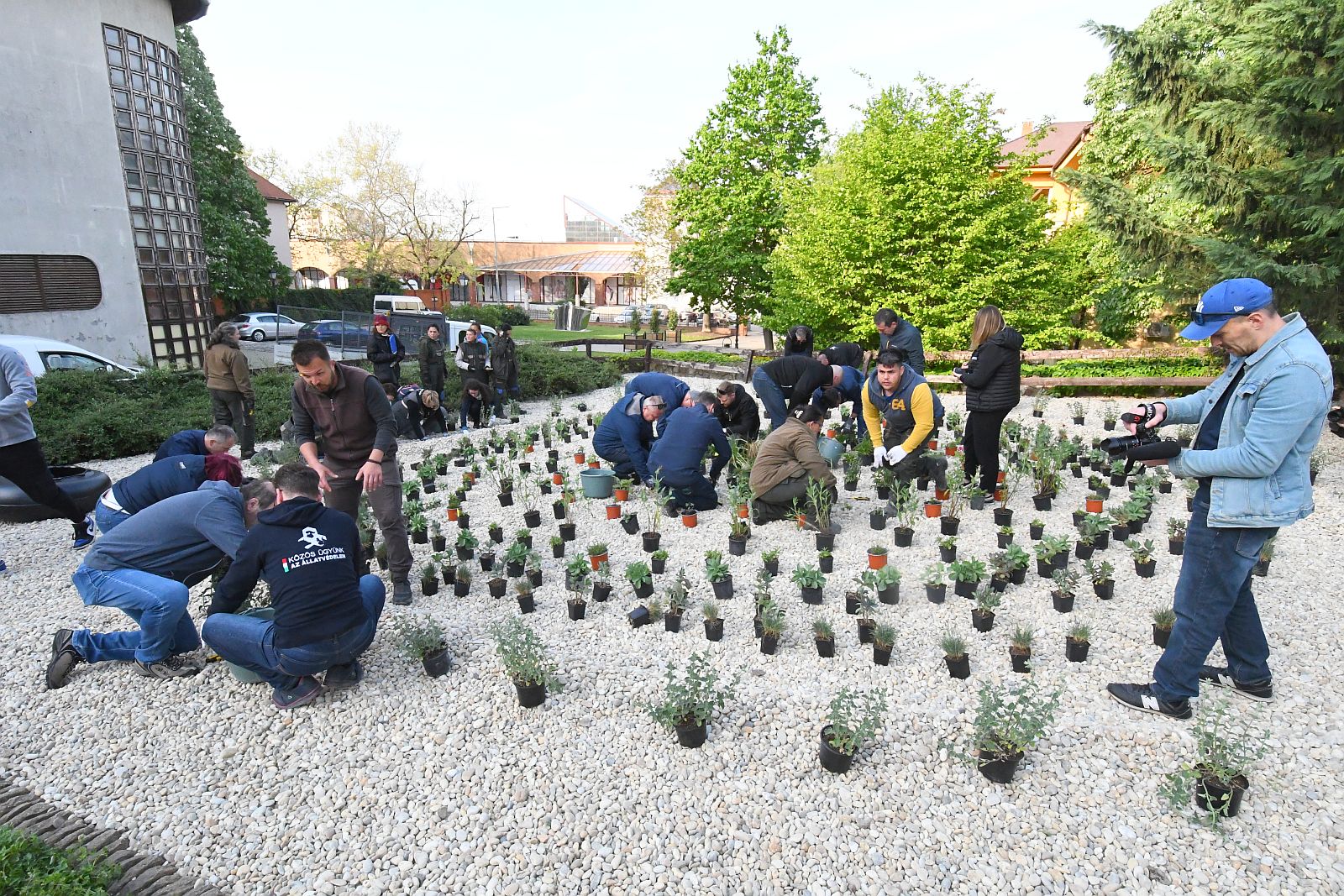 Évelők ültetése a Grundfos támogatásával a Török udvarban