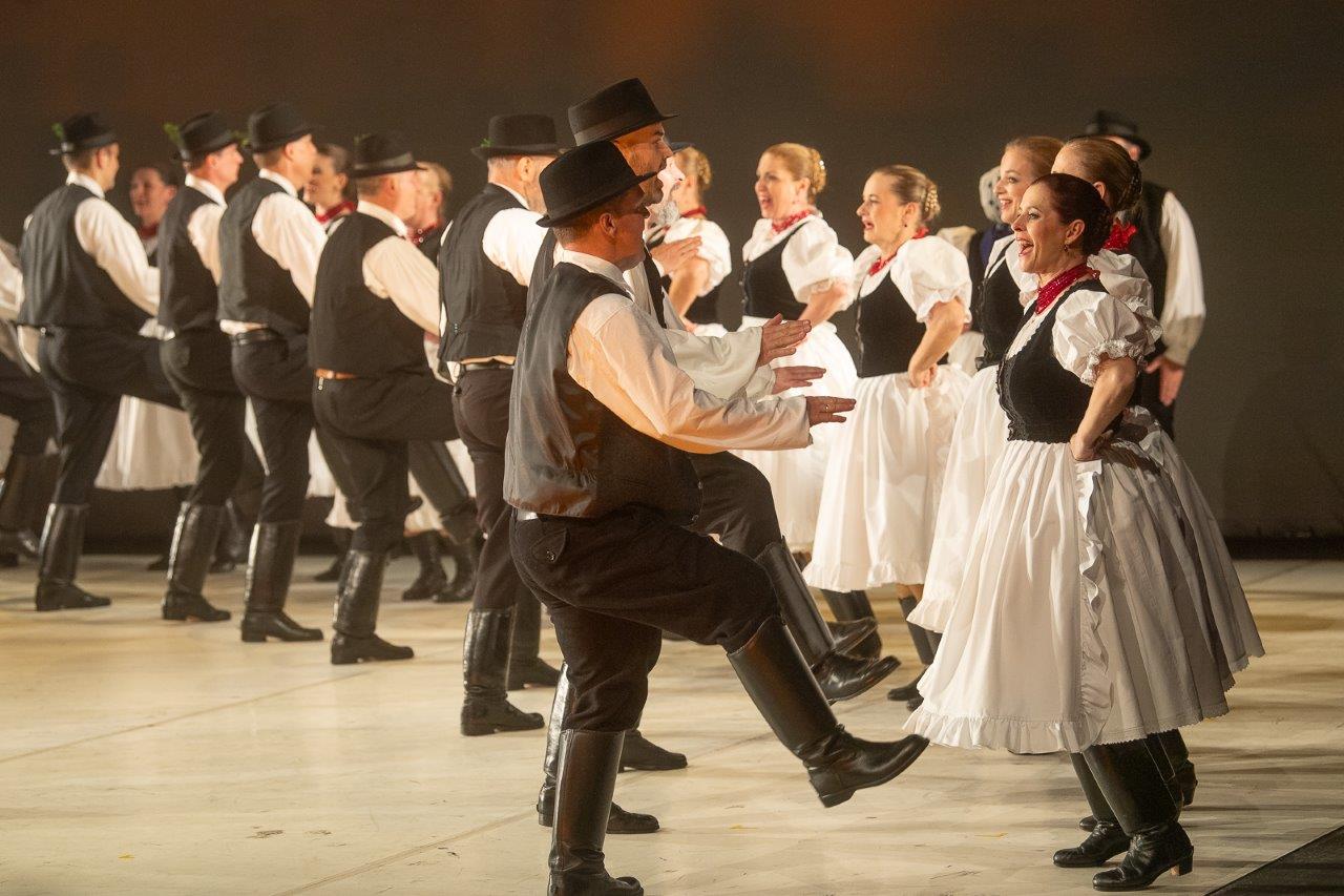 Tánc világnapja az Alba Regia Táncegyüttessel