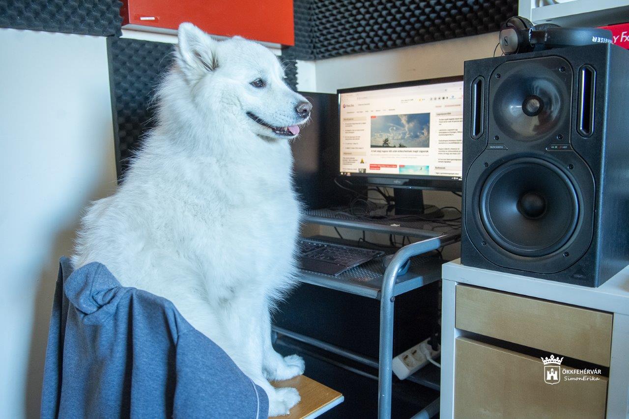 Tíz éves a székesfehérvári Alpha Rádió