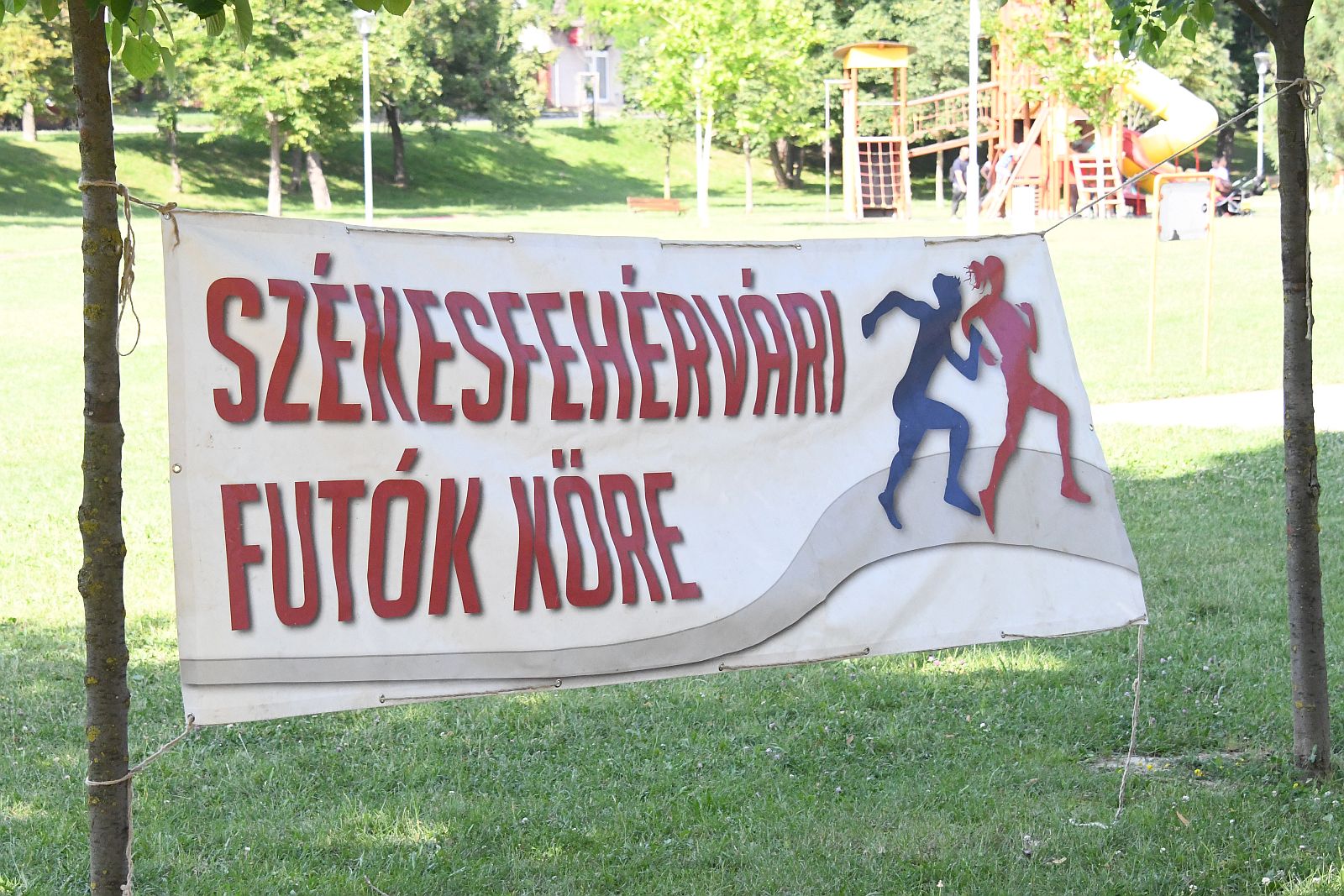 Székesfehérvári nyári futáspróba - segítenek elkezdeni