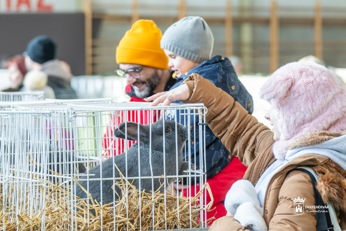 Kisállat-kiállítás Székesfehérváron a Volán sportcsarnokban