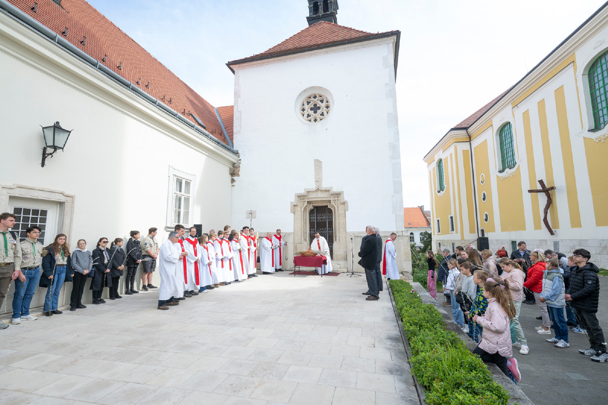 Virágvasárnapi barkaszentelés és szentmise Székesfehérváron