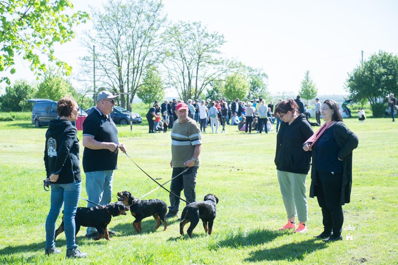 Munkakutya bemutató Börgöndpusztán