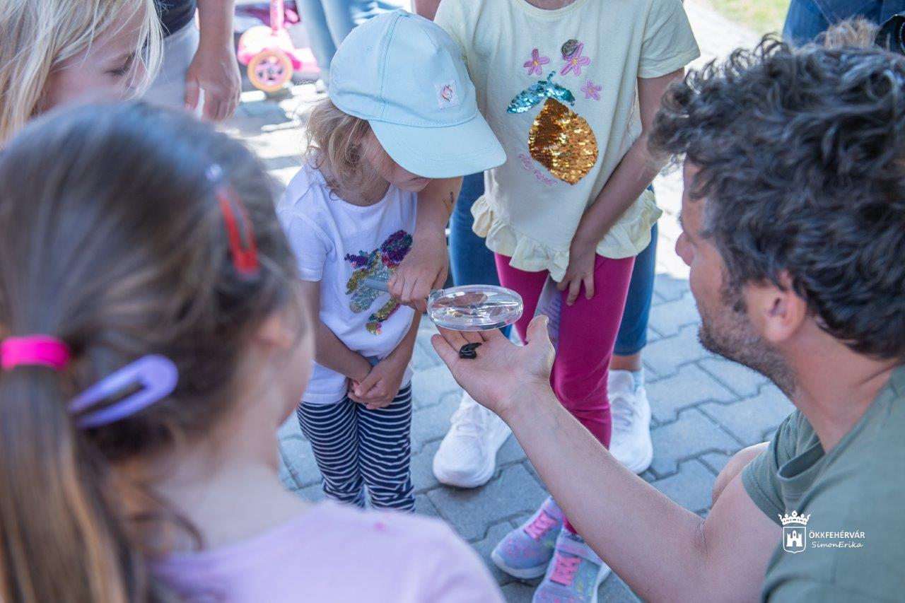 Képeken a sóstói Öko Majális 2025.