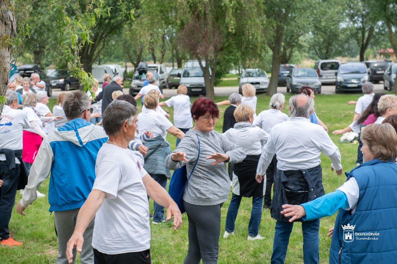 Szív egyesületek regionális találkozója Palotavárosban