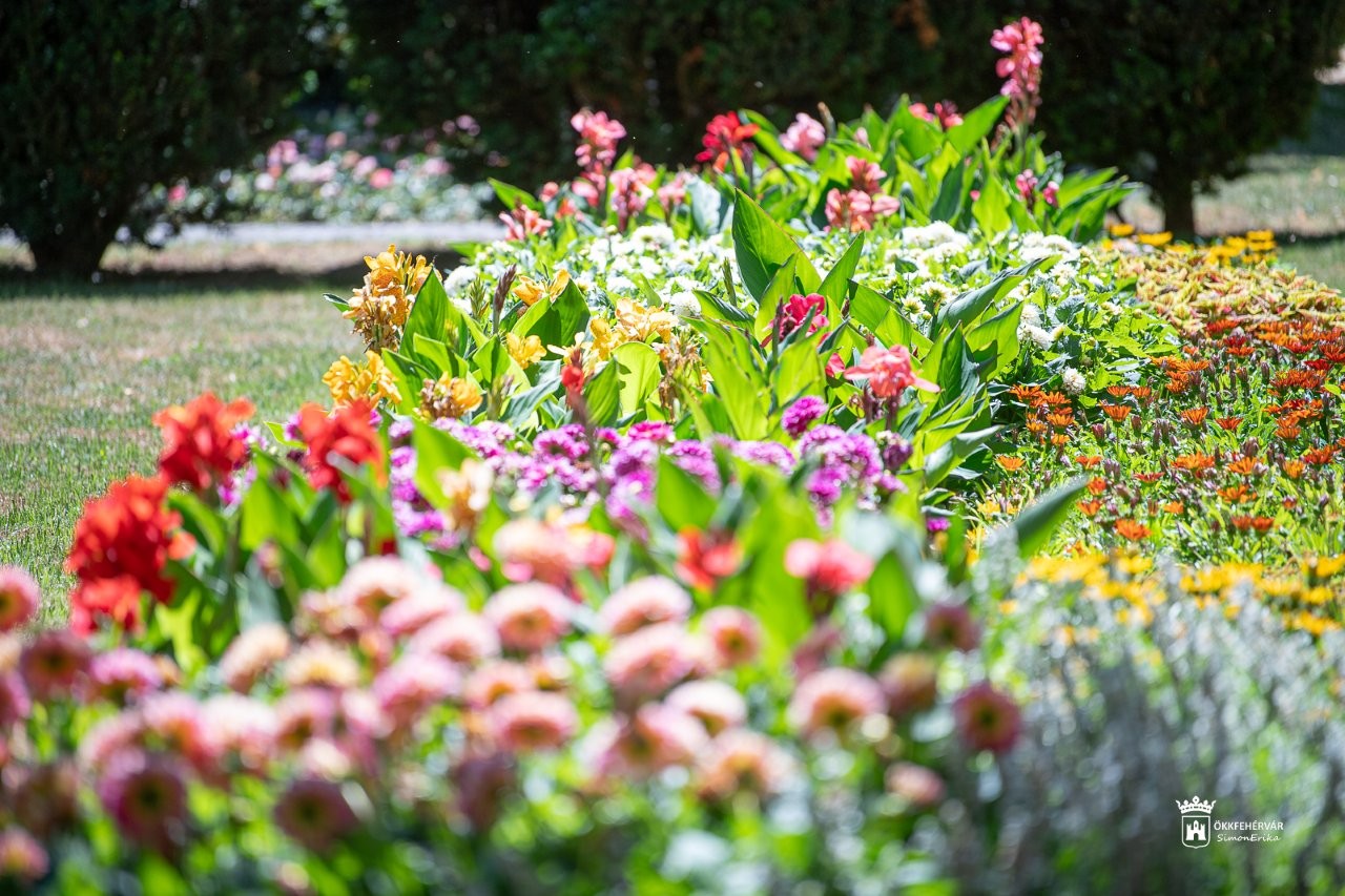A Virágos Magyarország 2025 zsűrije Fehérváron