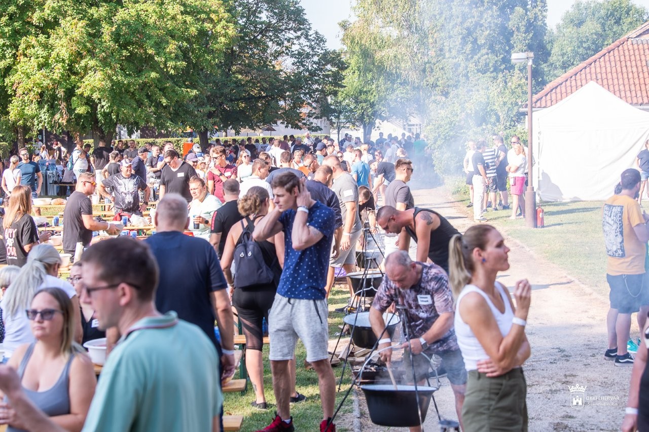 Grundfos családi nap a Bregyó-közben