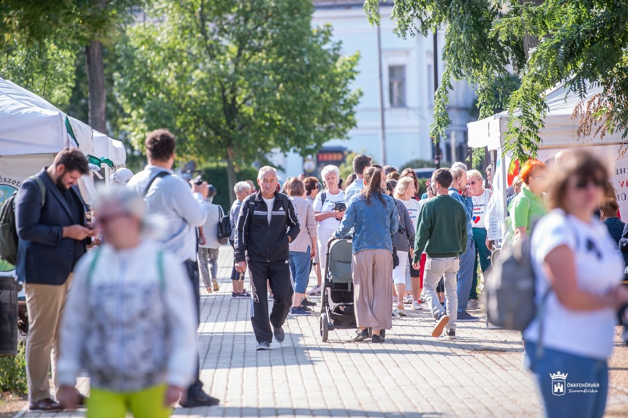 XVII. Civil Nap a Zichy ligetben