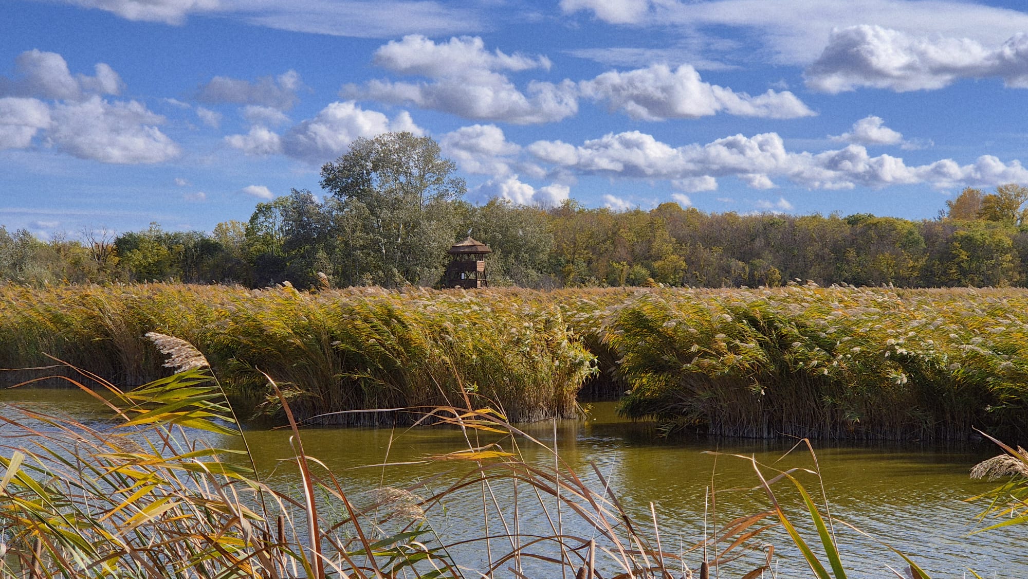 Napsütéses őszi kirándulás a Sóstó Természetvédelmi Területen