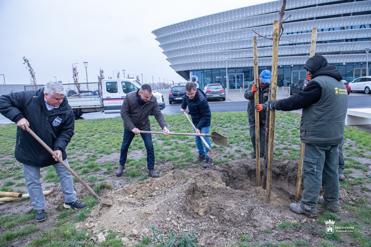 Faültetés a MET Arénánál