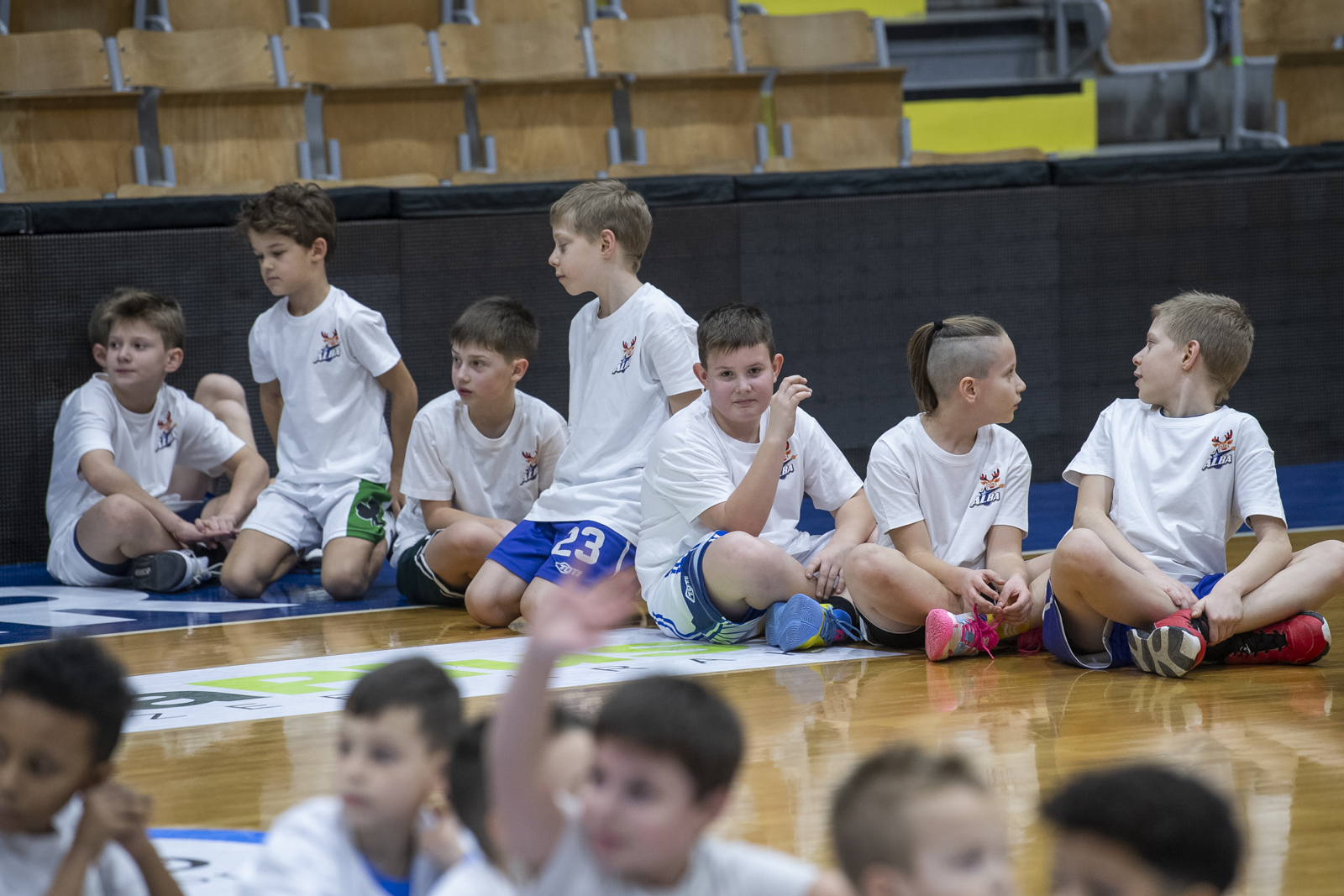 Kosaras karácsonyi Jamboree az Alba Fehérvárral