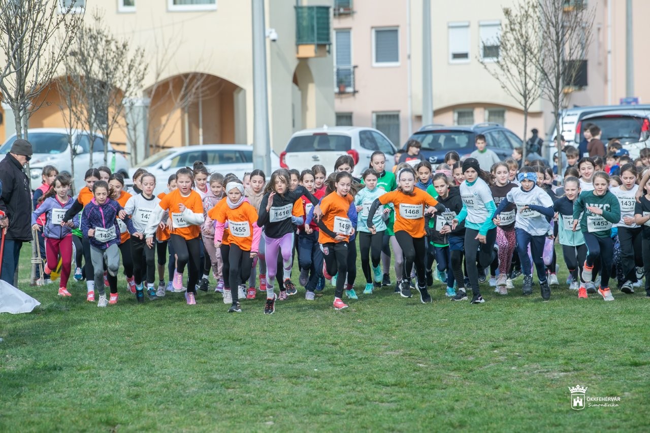 Mezei futó diákolimpiai bajnokság városi döntője a Palotavárosi tavaknál