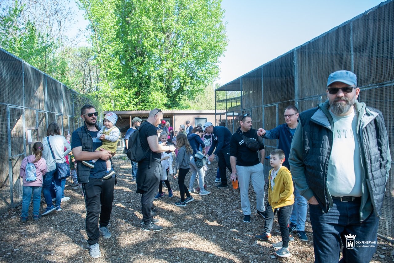 Négy éves a Sóstó Vadvédelmi Központ