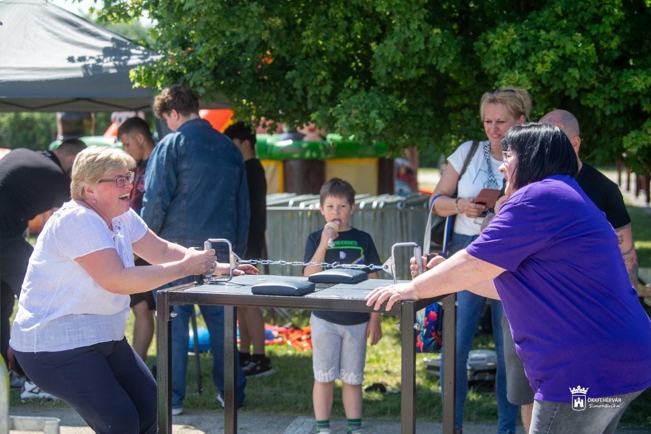Nagyok a kicsikért - jótékonysági fesztivál Fehérváron